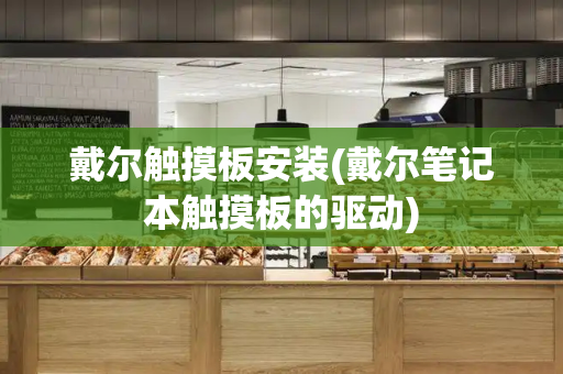 戴尔触摸板安装(戴尔笔记本触摸板的驱动)-第1张图片-星选测评