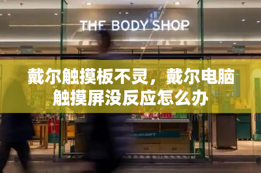 戴尔触摸板不灵，戴尔电脑触摸屏没反应怎么办