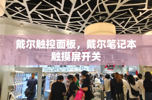 戴尔触控面板，戴尔笔记本触摸屏开关-第1张图片-星选测评