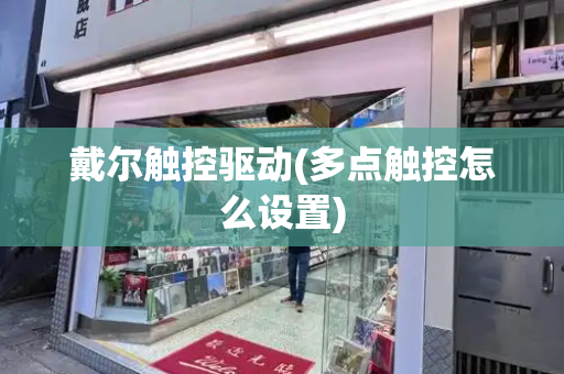 戴尔触控驱动(多点触控怎么设置)-第1张图片-星选测评