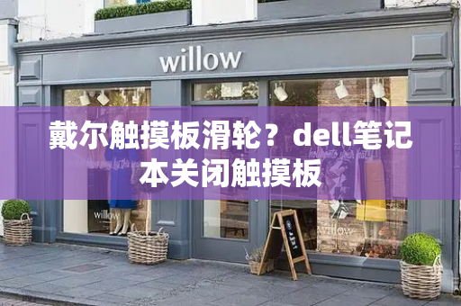 戴尔触摸板滑轮？dell笔记本关闭触摸板
