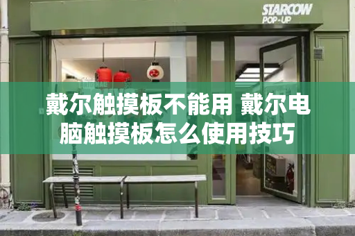 戴尔触摸板不能用 戴尔电脑触摸板怎么使用技巧