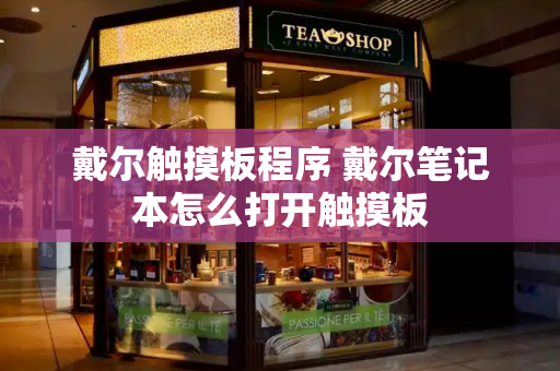 戴尔触摸板程序 戴尔笔记本怎么打开触摸板