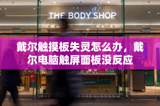 戴尔触摸板失灵怎么办，戴尔电脑触屏面板没反应