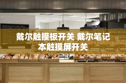 戴尔触摸板开关 戴尔笔记本触摸屏开关-第1张图片-星选测评