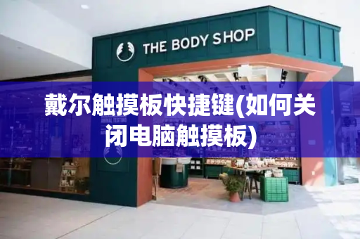 戴尔触摸板快捷键(如何关闭电脑触摸板)
