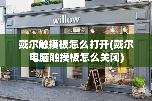 戴尔触摸板怎么打开(戴尔电脑触摸板怎么关闭)