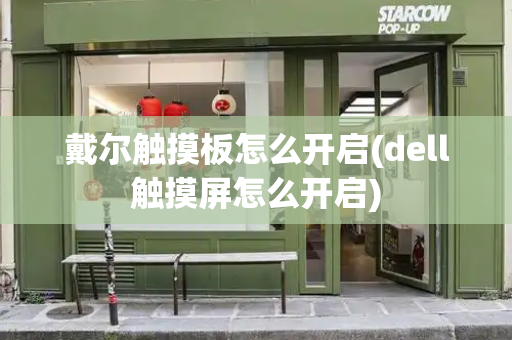 戴尔触摸板怎么开启(dell触摸屏怎么开启)-第1张图片-星选测评