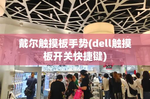 戴尔触摸板手势(dell触摸板开关快捷键)