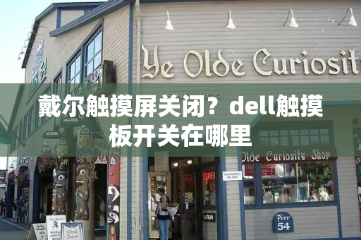 戴尔触摸屏关闭？dell触摸板开关在哪里