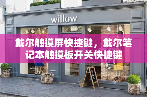 戴尔触摸屏快捷键，戴尔笔记本触摸板开关快捷键