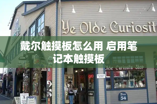戴尔触摸板怎么用 启用笔记本触摸板