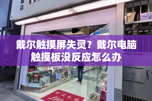 戴尔触摸屏失灵？戴尔电脑触摸板没反应怎么办