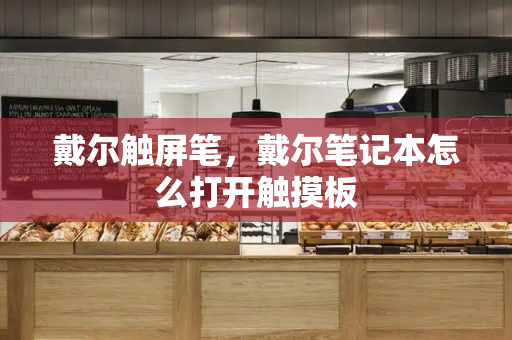 戴尔触屏笔，戴尔笔记本怎么打开触摸板