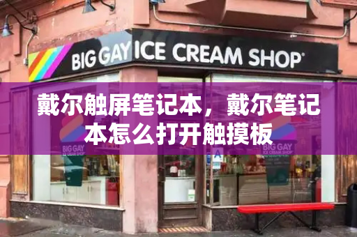 戴尔触屏笔记本，戴尔笔记本怎么打开触摸板-第1张图片-星选测评
