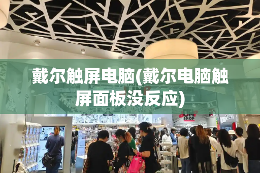 戴尔触屏电脑(戴尔电脑触屏面板没反应)-第1张图片-星选测评