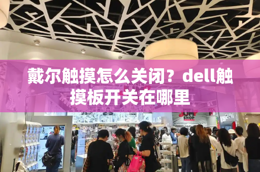 戴尔触摸怎么关闭？dell触摸板开关在哪里-第1张图片-星选测评