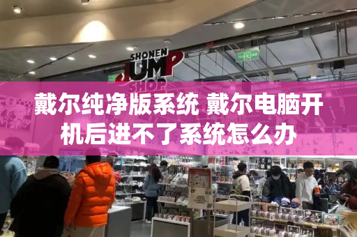 戴尔纯净版系统 戴尔电脑开机后进不了系统怎么办