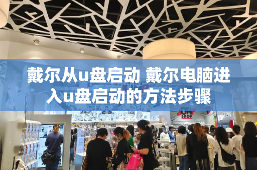 戴尔从u盘启动 戴尔电脑进入u盘启动的方法步骤