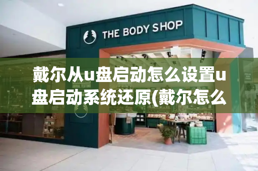 戴尔从u盘启动怎么设置u盘启动系统还原(戴尔怎么重装系统)