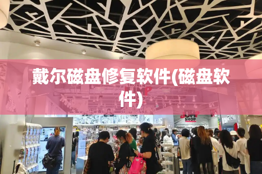 戴尔磁盘修复软件(磁盘软件)