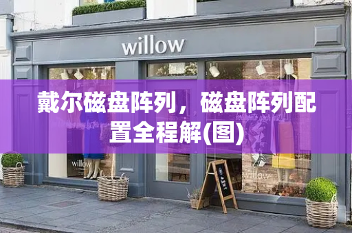 戴尔磁盘阵列，磁盘阵列配置全程解(图)-第1张图片-星选测评