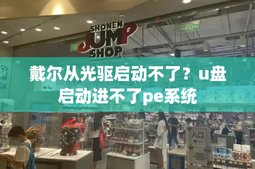 戴尔从光驱启动不了？u盘启动进不了pe系统