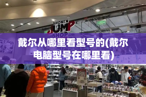 戴尔从哪里看型号的(戴尔电脑型号在哪里看)
