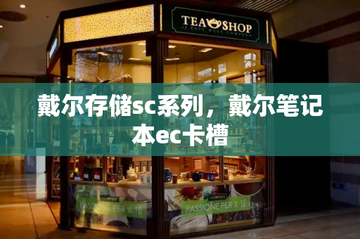 戴尔存储sc系列，戴尔笔记本ec卡槽-第1张图片-星选测评