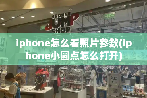 iphone怎么看照片参数(iphone小圆点怎么打开)-第1张图片-星选测评