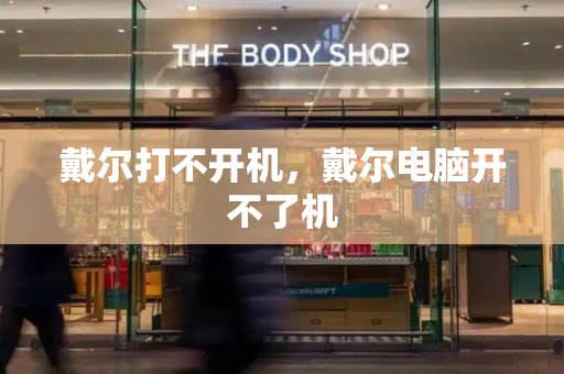 戴尔打不开机，戴尔电脑开不了机-第1张图片-星选测评
