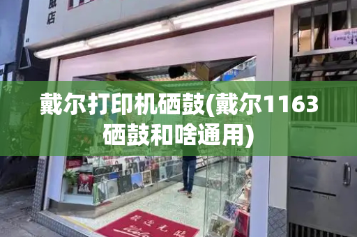 戴尔打印机硒鼓(戴尔1163硒鼓和啥通用)-第1张图片-星选测评