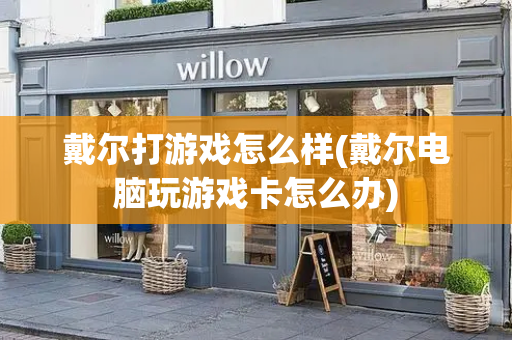 戴尔打游戏怎么样(戴尔电脑玩游戏卡怎么办)
