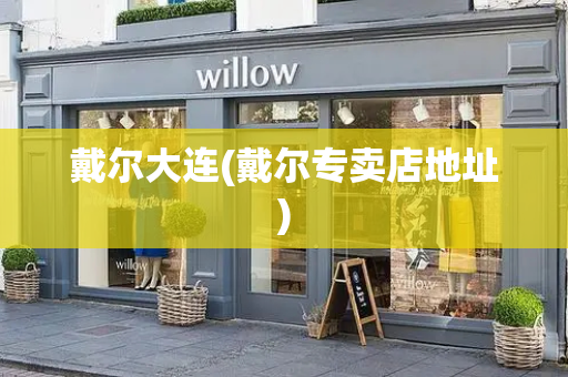 戴尔大连(戴尔专卖店地址)-第1张图片-星选测评