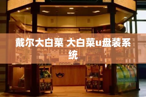 戴尔大白菜 大白菜u盘装系统-第1张图片-星选测评