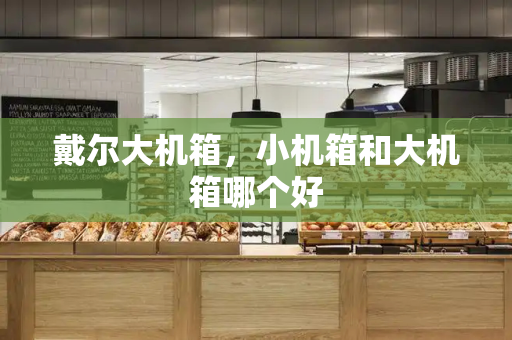 戴尔大机箱，小机箱和大机箱哪个好-第1张图片-星选测评