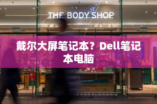 戴尔大屏笔记本？Dell笔记本电脑-第1张图片-星选测评