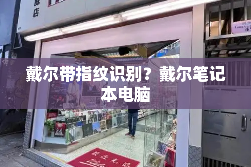 戴尔带指纹识别？戴尔笔记本电脑-第1张图片-星选测评