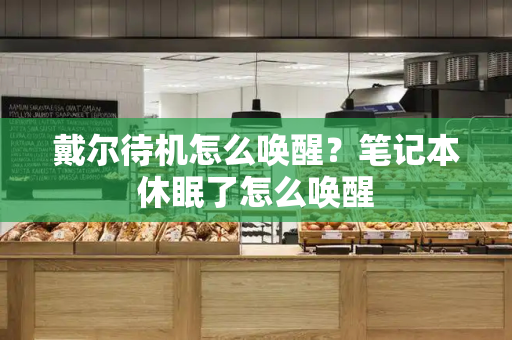 戴尔待机怎么唤醒？笔记本休眠了怎么唤醒-第1张图片-星选测评