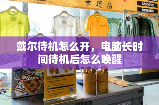 戴尔待机怎么开，电脑长时间待机后怎么唤醒-第1张图片-星选测评