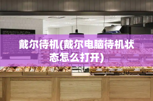 戴尔待机(戴尔电脑待机状态怎么打开)