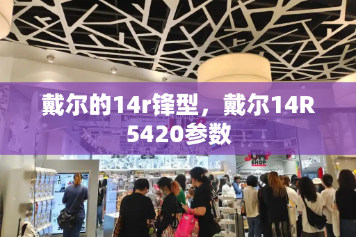 戴尔的14r锋型，戴尔14R5420参数