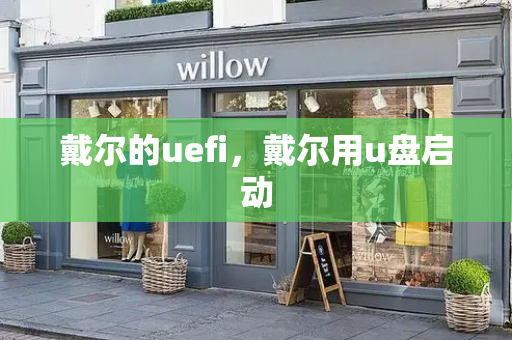 戴尔的uefi，戴尔用u盘启动-第1张图片-星选测评