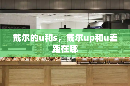戴尔的u和s，戴尔up和u差距在哪-第1张图片-星选测评