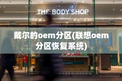 戴尔的oem分区(联想oem分区恢复系统)-第1张图片-星选测评