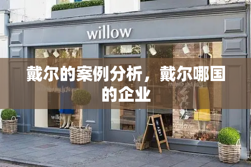 戴尔的案例分析，戴尔哪国的企业