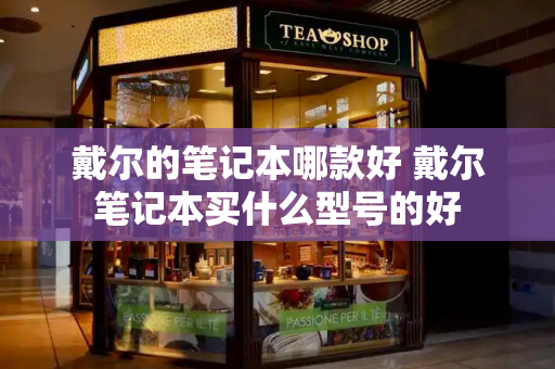 戴尔的笔记本哪款好 戴尔笔记本买什么型号的好-第1张图片-星选测评