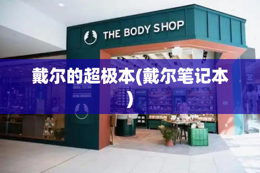 戴尔的超极本(戴尔笔记本)-第1张图片-星选测评