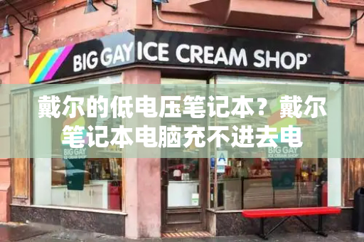 戴尔的低电压笔记本？戴尔笔记本电脑充不进去电