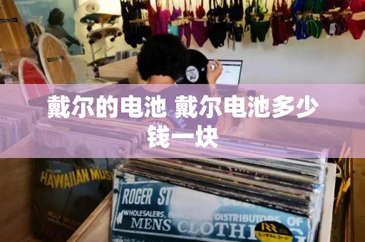 戴尔的电池 戴尔电池多少钱一块-第1张图片-星选测评